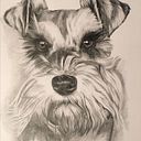 Dianora Reyes Mondragón