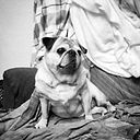 Jiovanna Octavia Agama