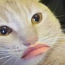 Melissa Beltrán Salazar