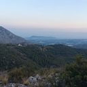 Susana Ripoll Ripoll