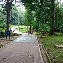 Alexander Zabala Saavedra