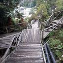 Sonia Muñoz Alarcon