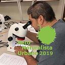 Antonio Moreno Talamantes