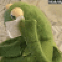 Arantxa Pacheco Gutiérrez