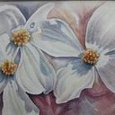 Elinborg Jónsdottir