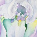 Rebeca Gómez López