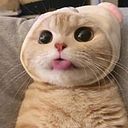 Nalinluk Pairojsathaporn