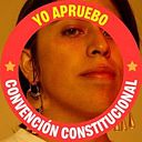 Sebastián Calfuqueo Aliste