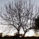 Samantha Huerta Valdez