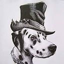 Rodrigo Soto Avilés