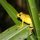 Omar Gabriel Miranda Bayron