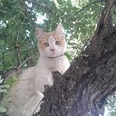 Ana Caballero Miranda