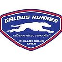 Galgos Chillan Viejo