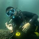 Mario Arellano Alvitres