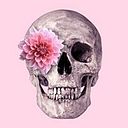 Kemy Cáceres Andía