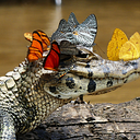 Carolina Paz Guaiquin