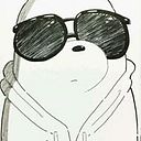 Christian Zegarra Alvarado