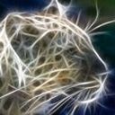 Miguel Angel Jimenez Muñoz