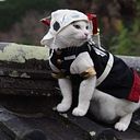 Jorge Enrique Salas Hernández