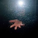 Carlos Andres Angarita Ramirez