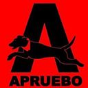 Sergio Teodoro Ovando Nahuelquen