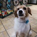 Karla González Solís