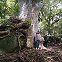 Claudia Hernández A.