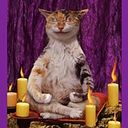 Kristína Moravčíková