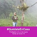 Julián Aves Ríosucio