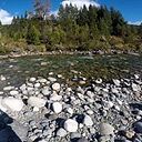 Micaela Calullerovich