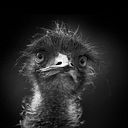 Antonio Vicente Rodriguez Gonzalez