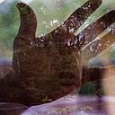 Víctor Notarfrancesco