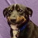 Fernando Ramos Sanchez