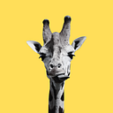 Alane Suelly da Silva