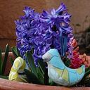 Clara Soloaga Villoch