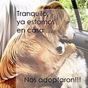 Marcela Rodriguez Gallardo