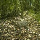 Rusby G. Contreras-Díaz