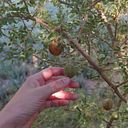 Carla Rodríguez Hernández