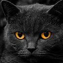 Joaquín Rivera Rueda