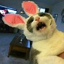 Carolina Llanza Miranda