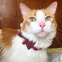 Gabriela Dámaso Menacho