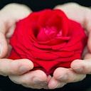 Nadia Chuquimia Chavez