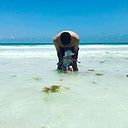 Mauricio Luengas Muñoz