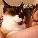 Claudia Rojos Iriarte