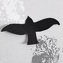 Veronica Paola Mercado Revollo