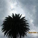 joshua olguin hernandez