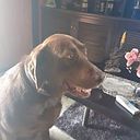 Maria Gomez Londoño