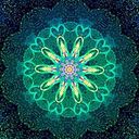 Nádia Ferrari de Abreu