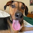 Beatriz Clavier de Moser