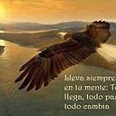 Celia Gigante Benavente